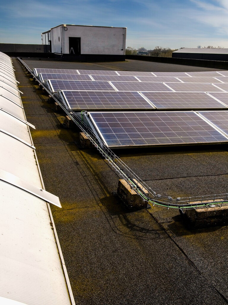 zonnepanelen zakelijk aanschaffen